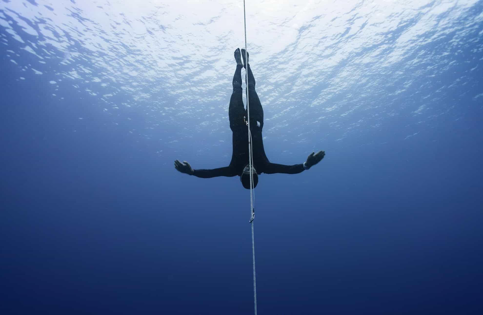 Conservation Freediving Bohol gallery photo 3