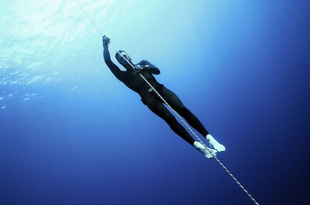 Conservation Freediving Bohol gallery photo 4