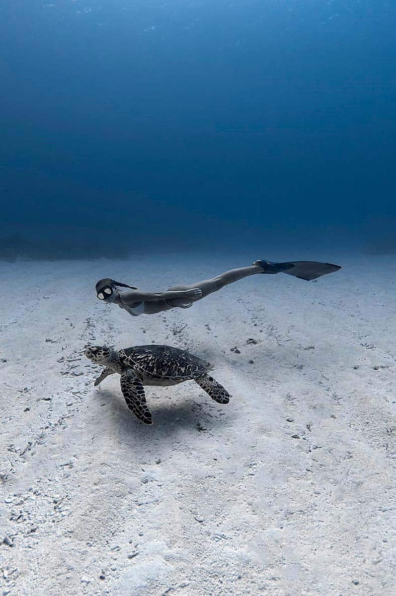 Conservation Freediving Bohol gallery photo 1