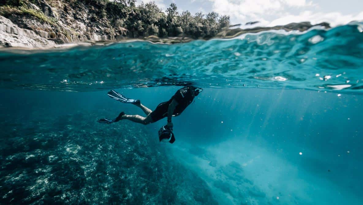 Conservation Freediving Bohol gallery photo 6