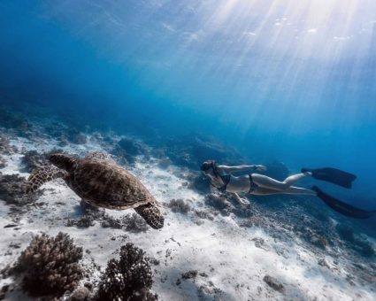 Underwater photography courses- photo by Janmi Wong